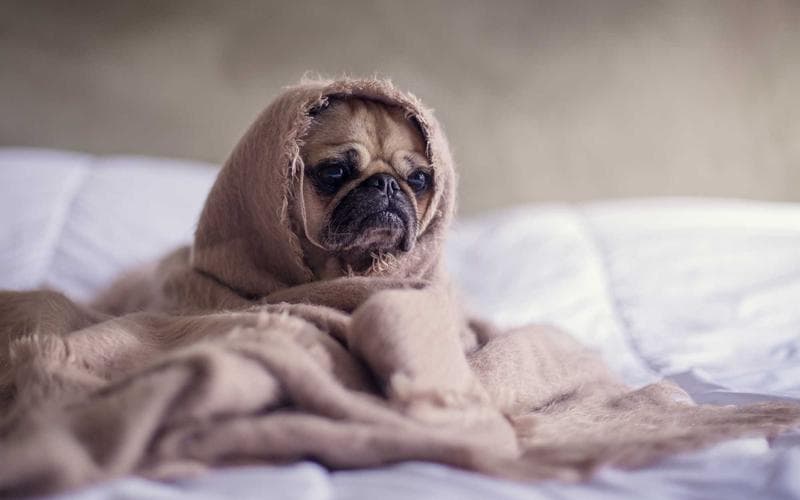 Chuyển đổi số: Các khái niệm cơ bản và thảo luận đối với trường đại học